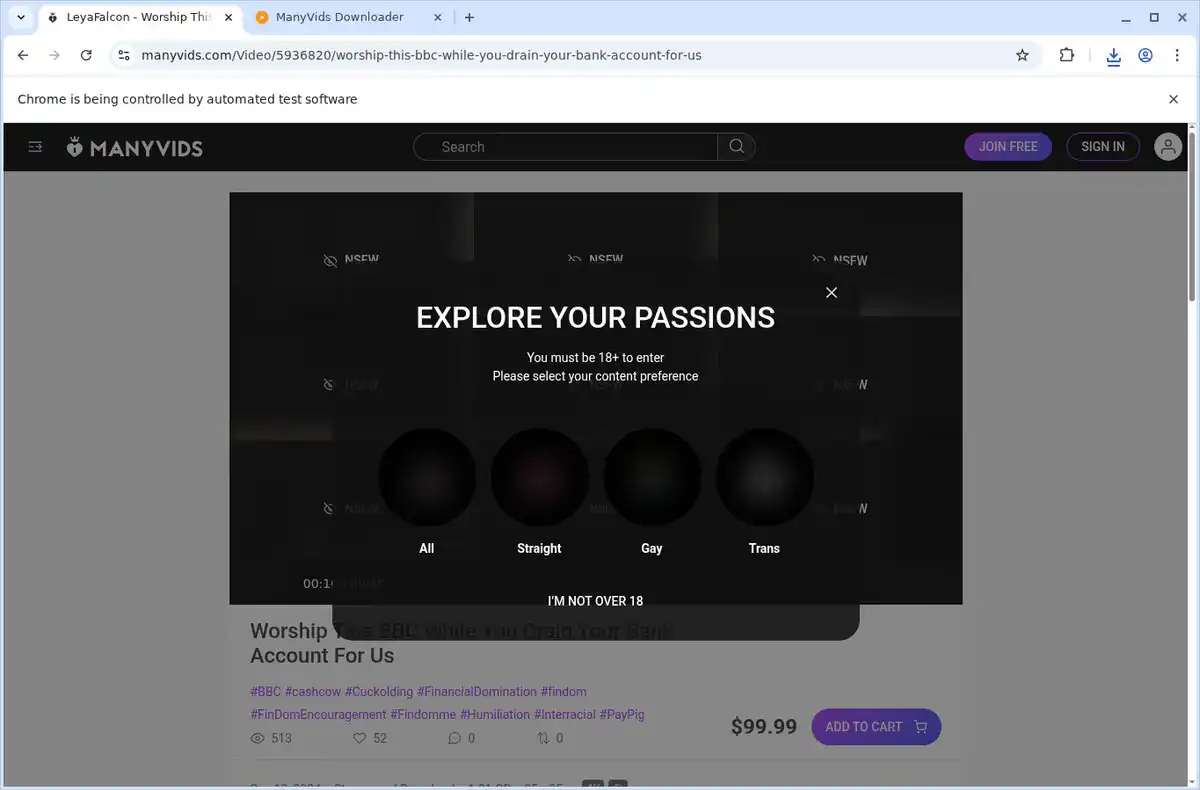 ManyVids Video Downloader fullscreen screenshot
