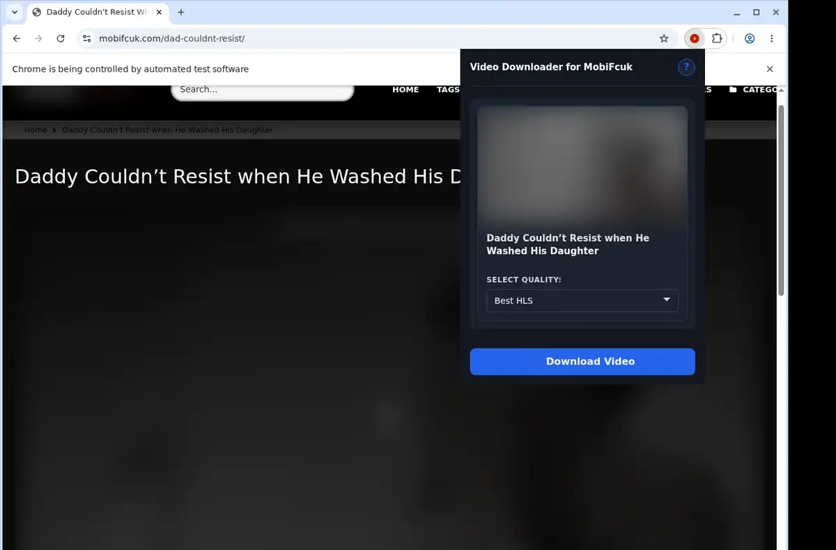 MobiFcuk Downloader ready state screenshot