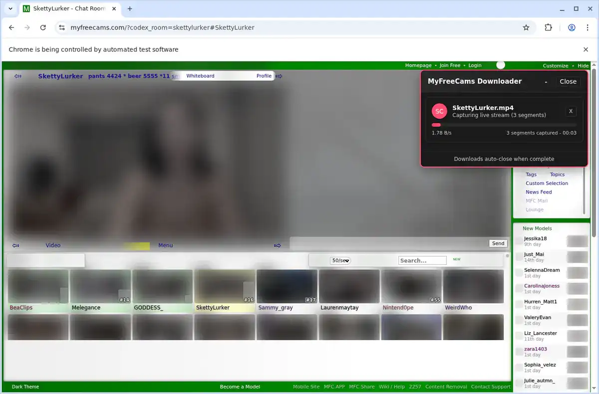 MyFreeCams Video Downloader fullscreen screenshot