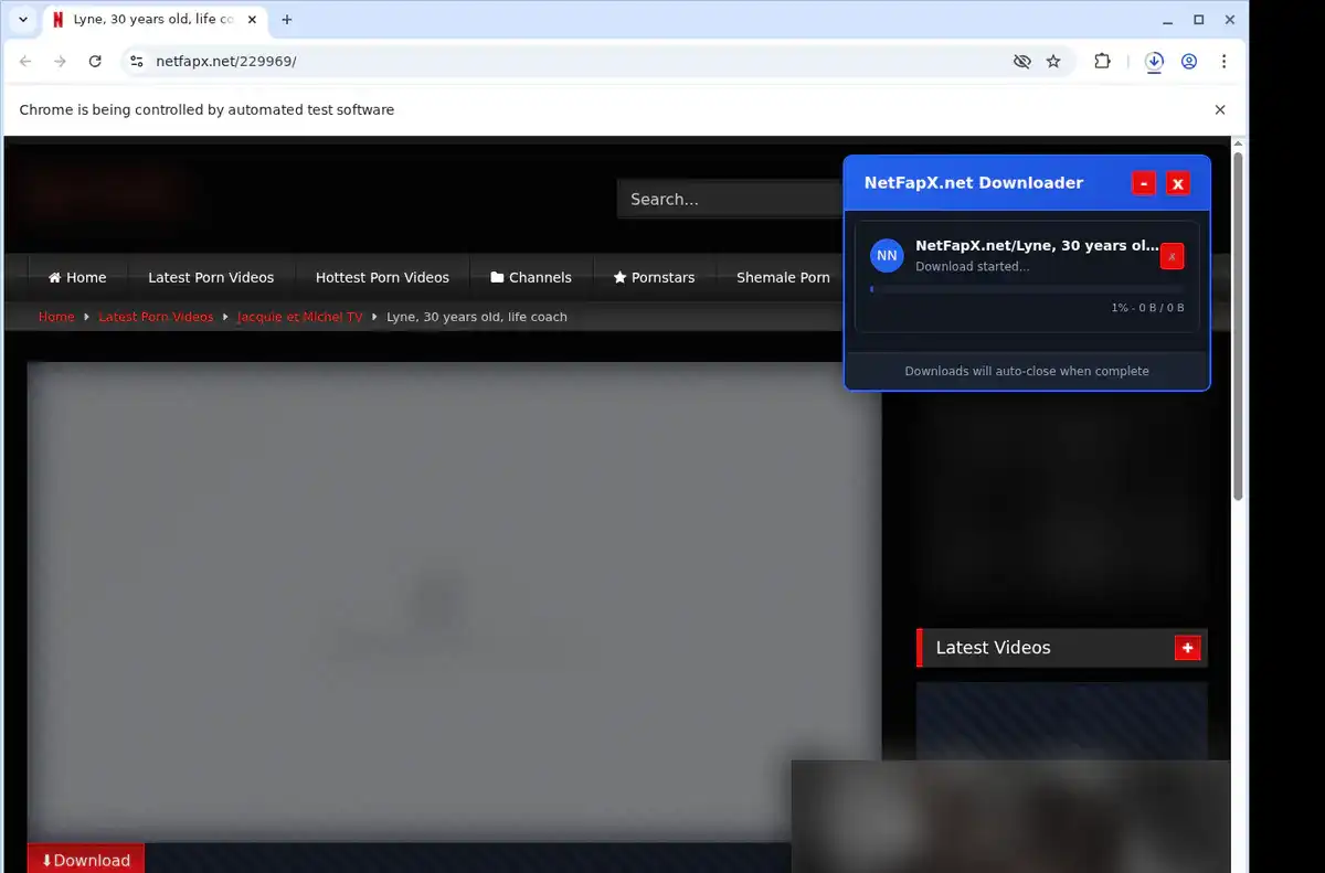 NetFapX.net Downloader fullscreen screenshot