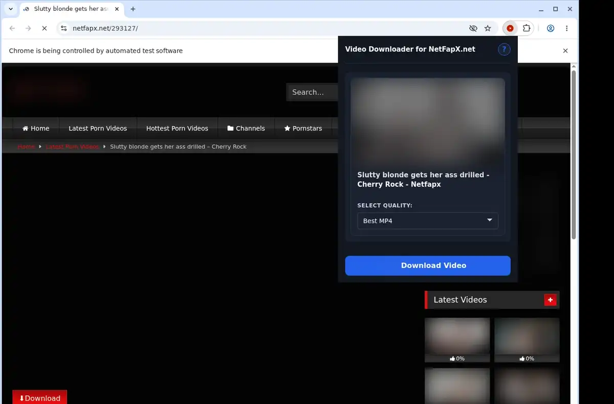 NetFapX.net Downloader ready state screenshot