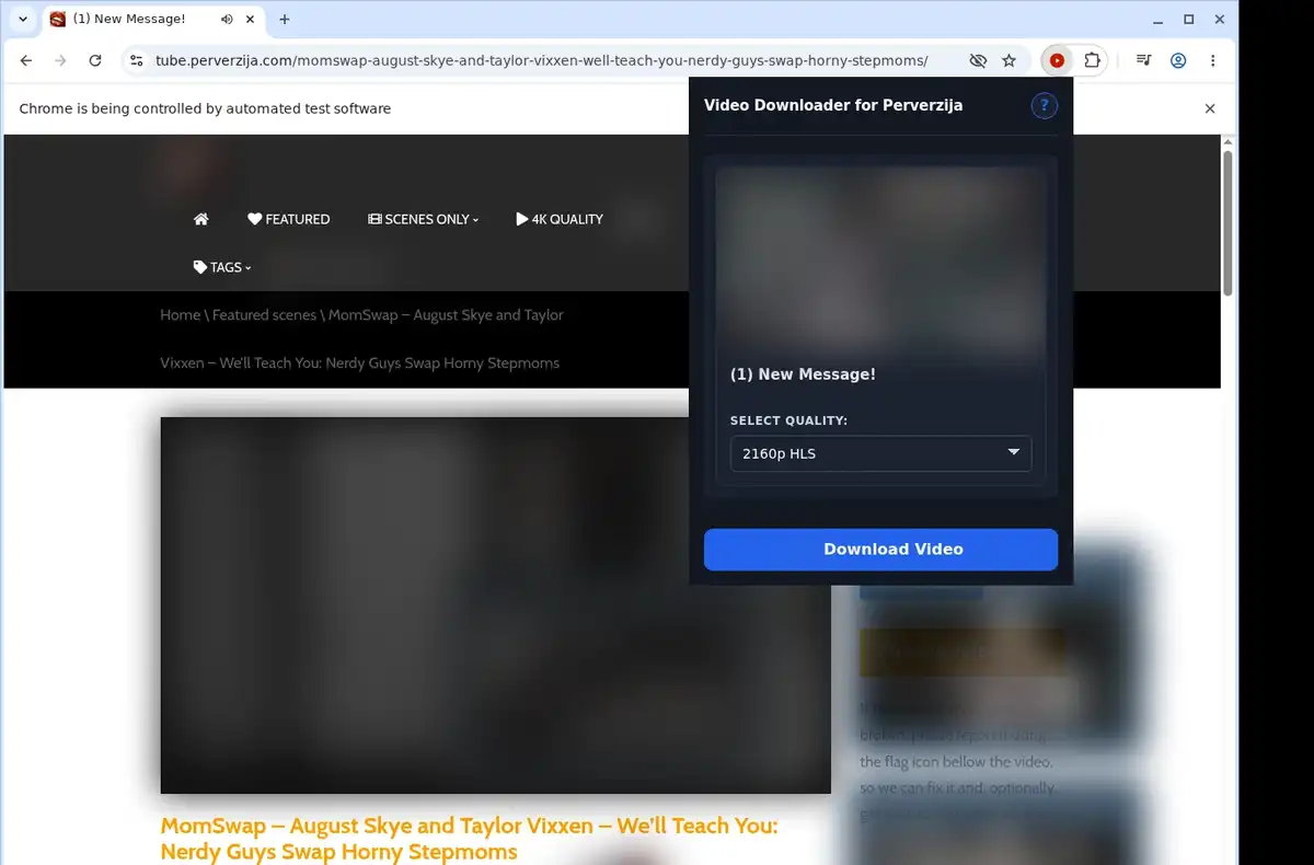 Perverzija Downloader ready state screenshot