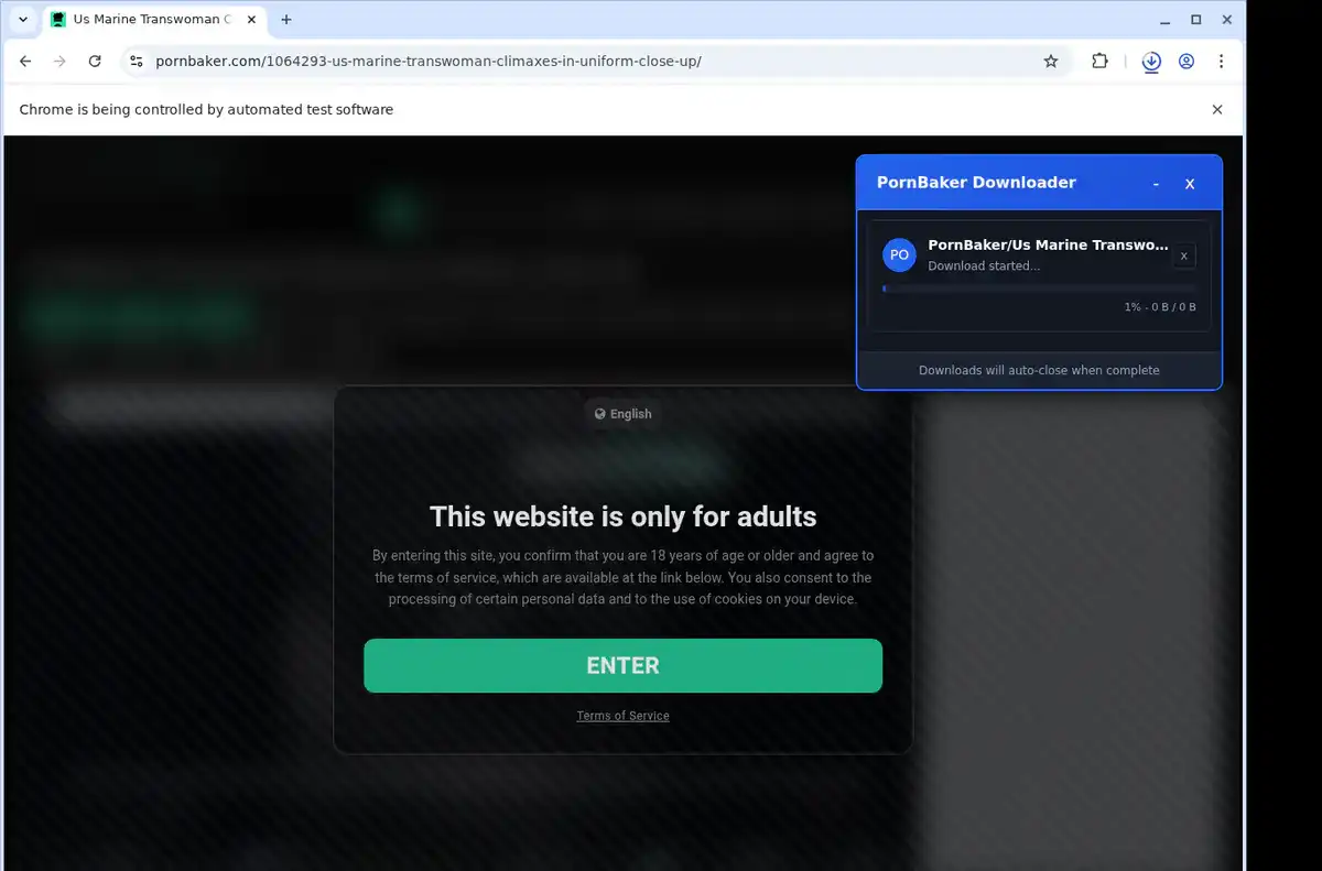 PornBaker Downloader fullscreen screenshot