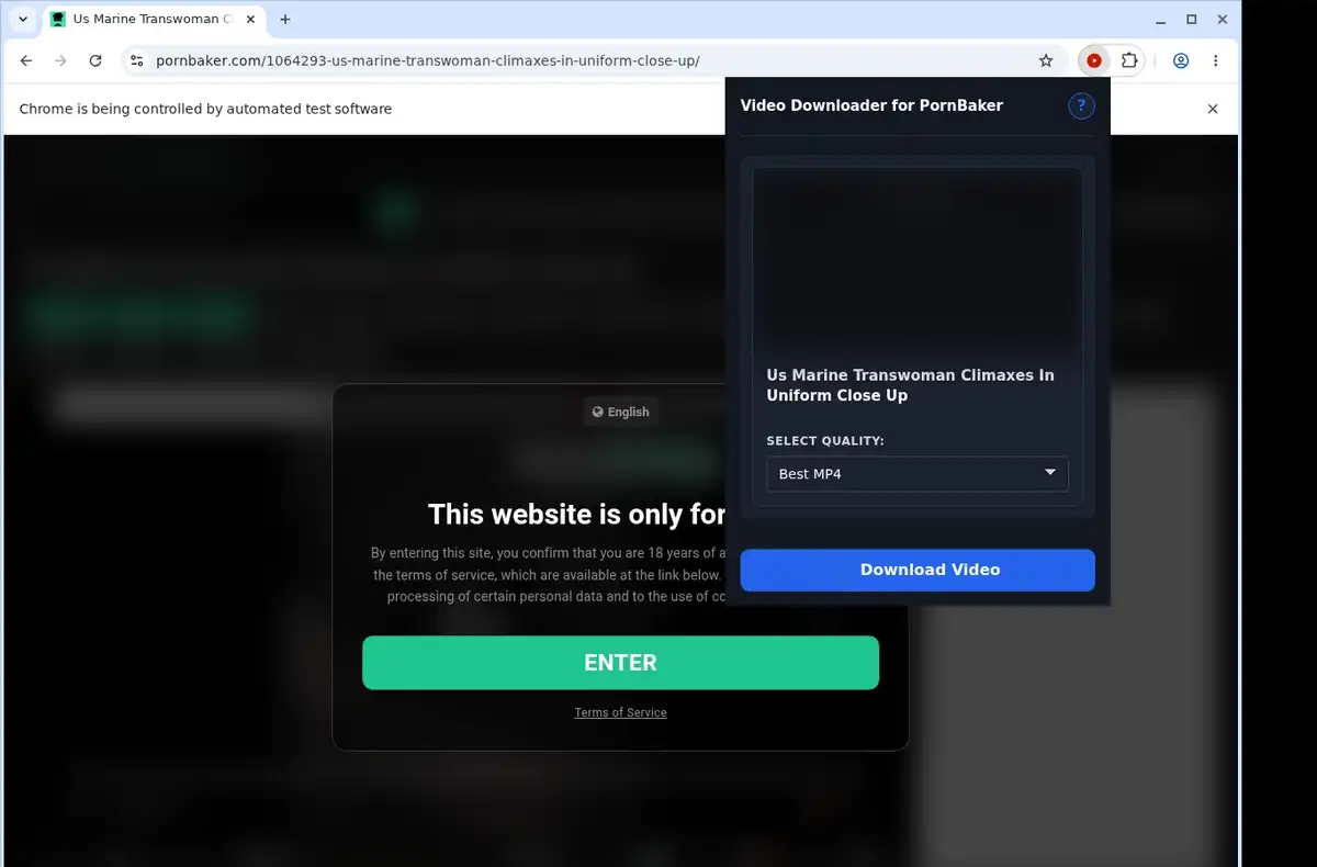 PornBaker Downloader ready state screenshot