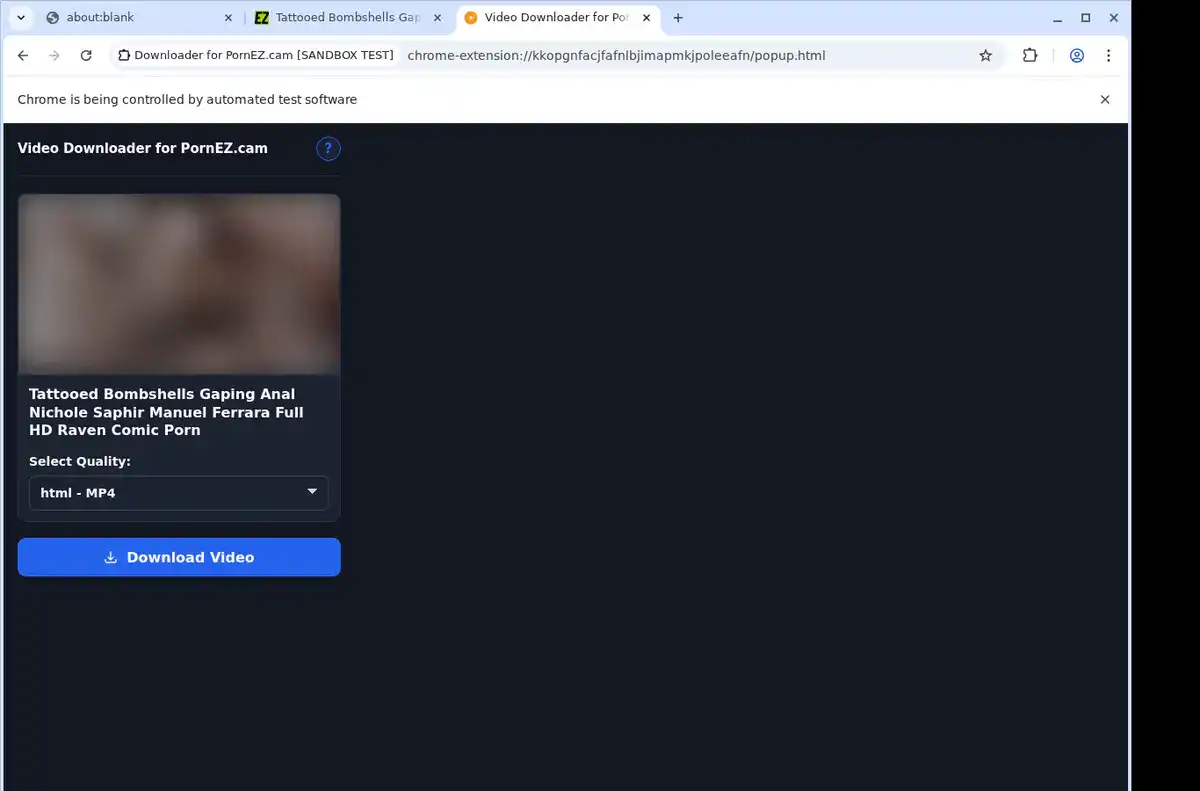 PornEZ.cam Downloader fullscreen screenshot