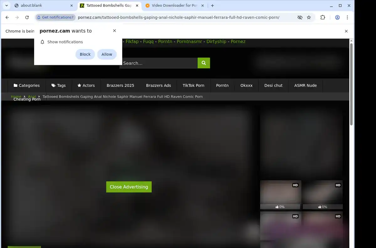 PornEZ.cam Downloader fullscreen screenshot
