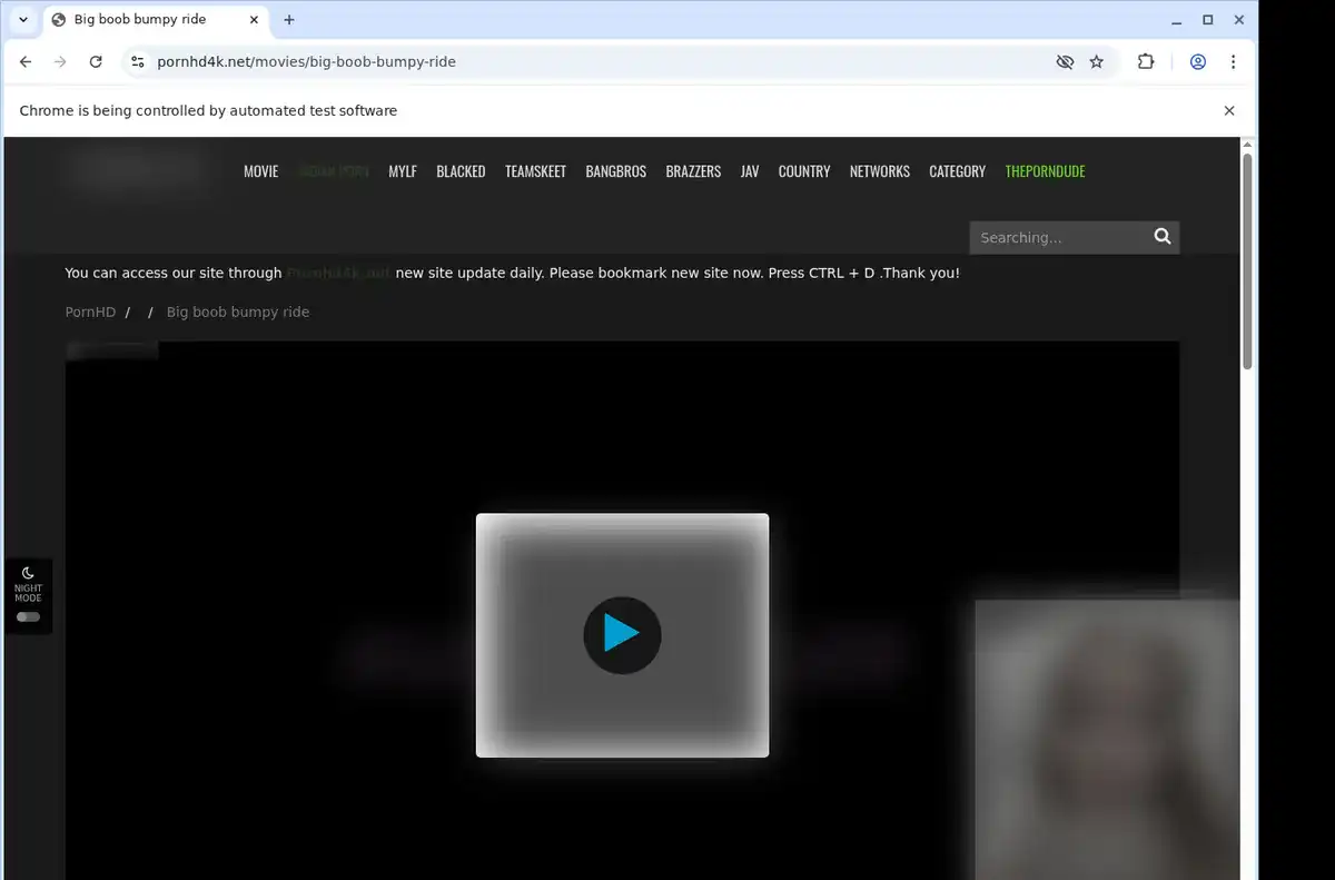 PornHD4K Downloader fullscreen screenshot