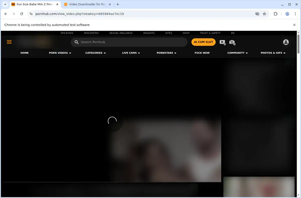 Pornhub Video Downloader fullscreen screenshot