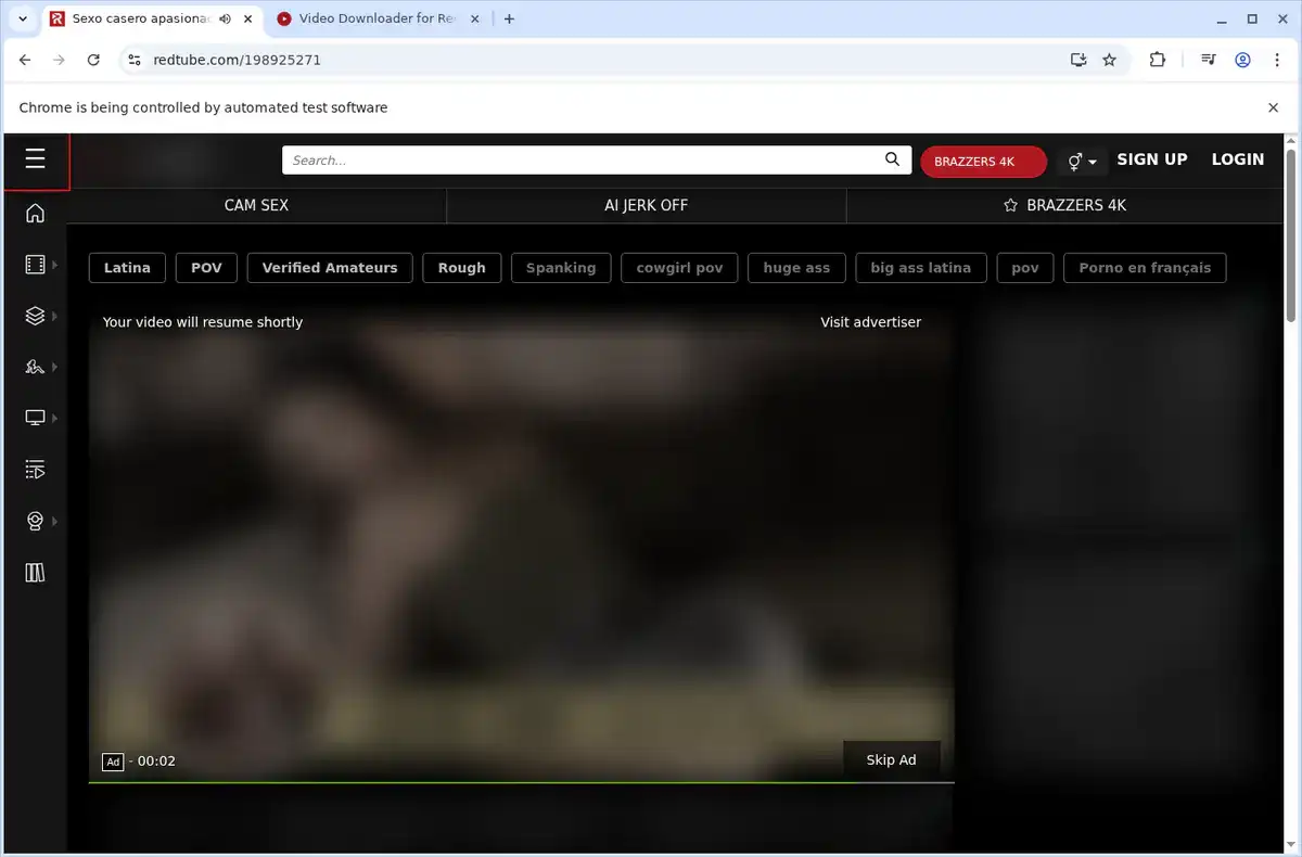 RedTube Video Downloader fullscreen screenshot