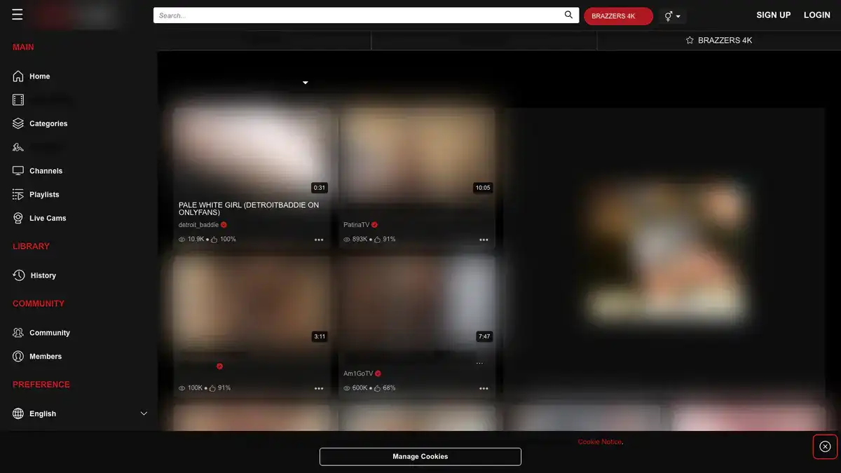 RedTube Video Downloader website preview