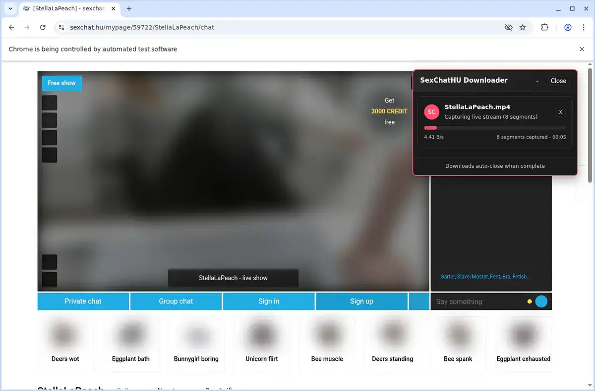 SexChat.hu Video Downloader fullscreen screenshot