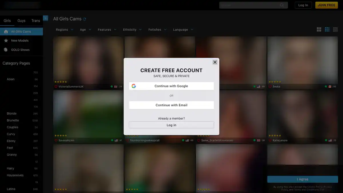 Streamate Video Downloader website preview