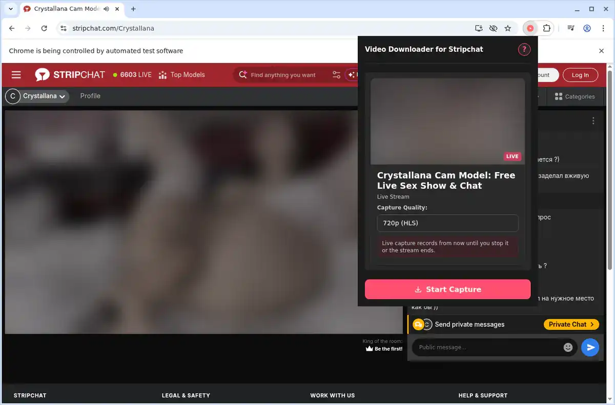 Stripchat Video Downloader fullscreen screenshot