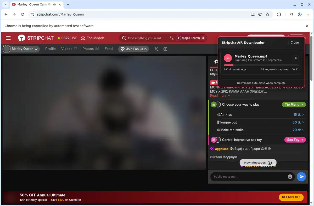 Stripchat VR Video Downloader fullscreen screenshot
