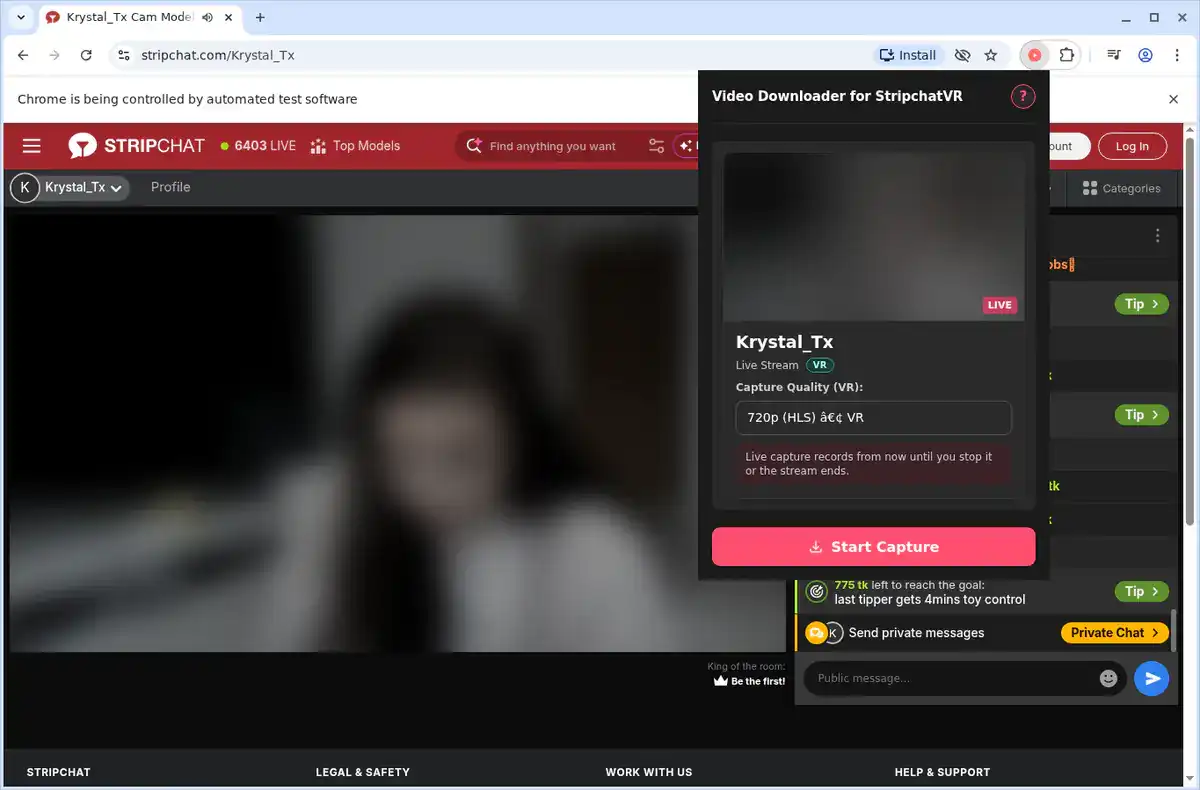 Stripchat VR Video Downloader fullscreen screenshot