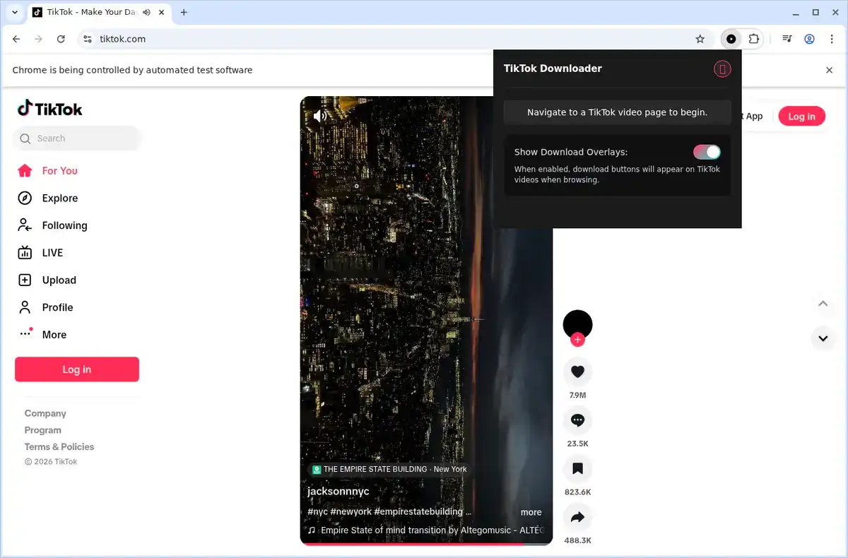 TikTok Video Downloader fullscreen screenshot