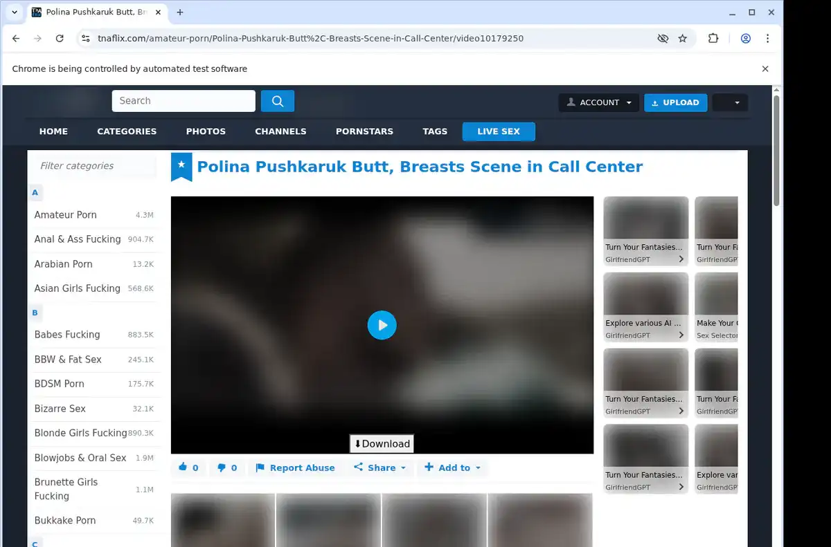 TNAFlix Video Downloader fullscreen screenshot