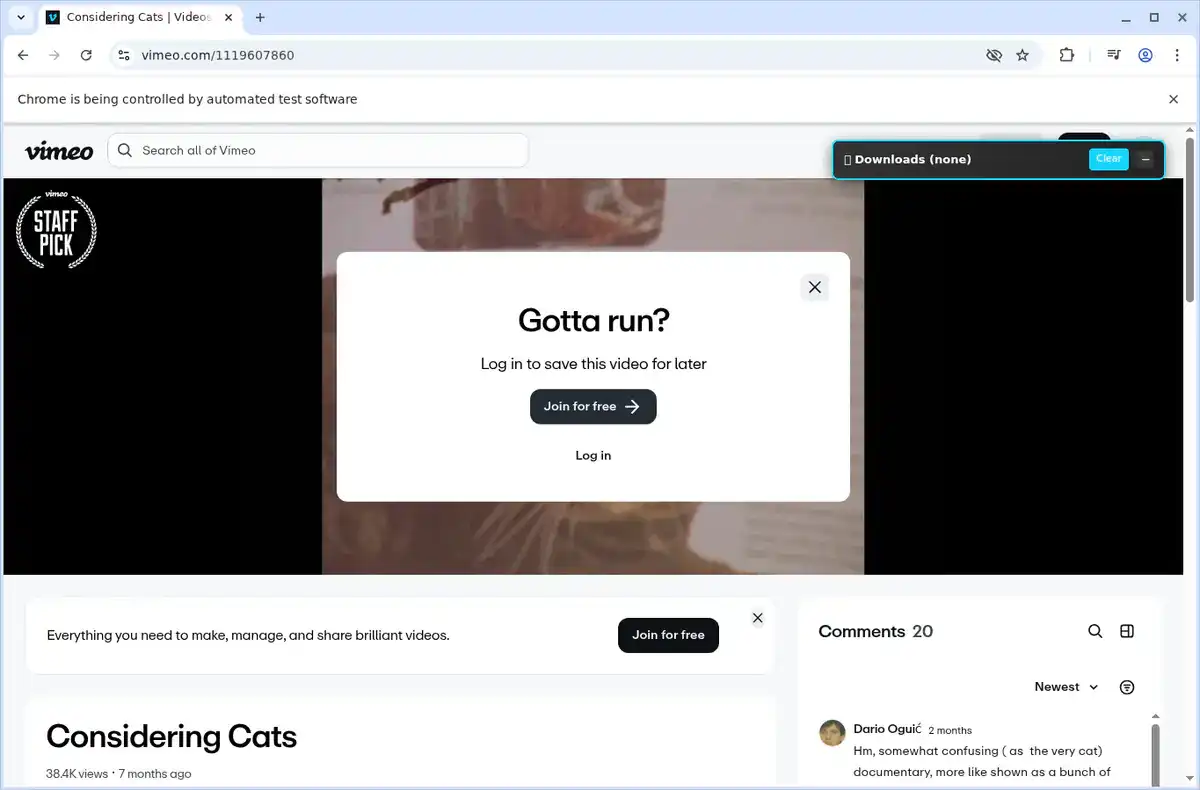 Vimeo Video Downloader fullscreen screenshot