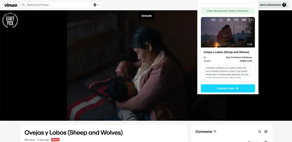 Vimeo Video Downloader progress tracking