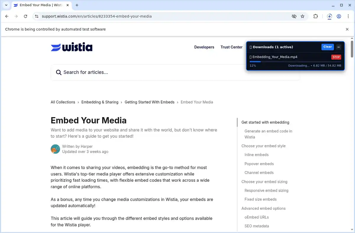 Wistia Video Downloader fullscreen screenshot