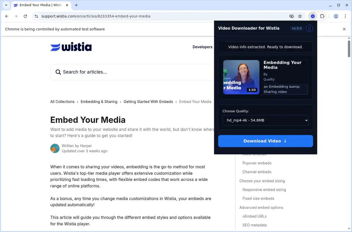 Wistia Video Downloader fullscreen screenshot