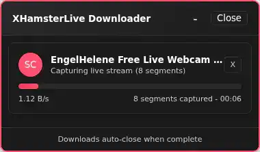 xHamsterLive Video Downloader fullscreen screenshot