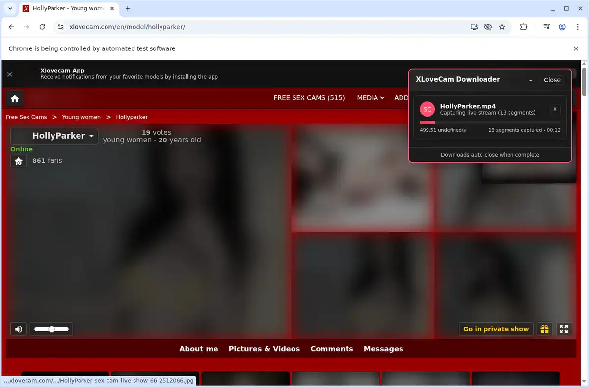 XLoveCam Video Downloader fullscreen screenshot