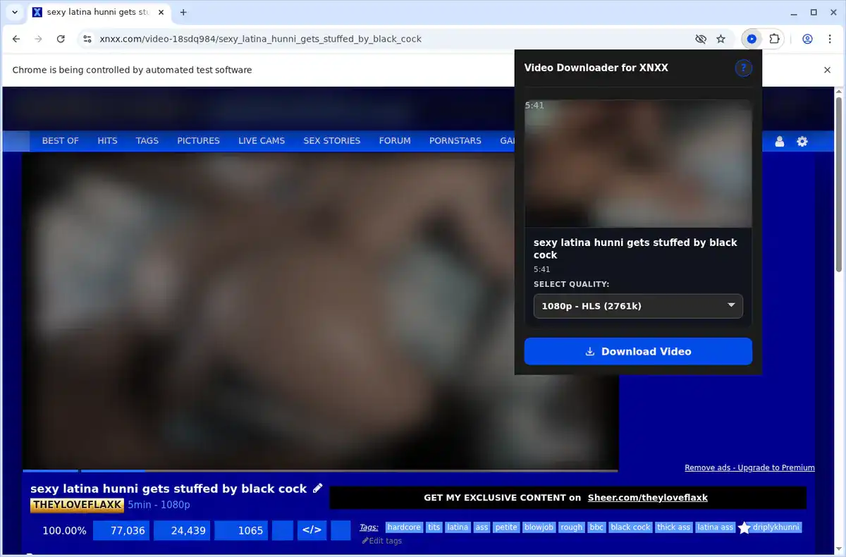 XNXX Video Downloader fullscreen screenshot