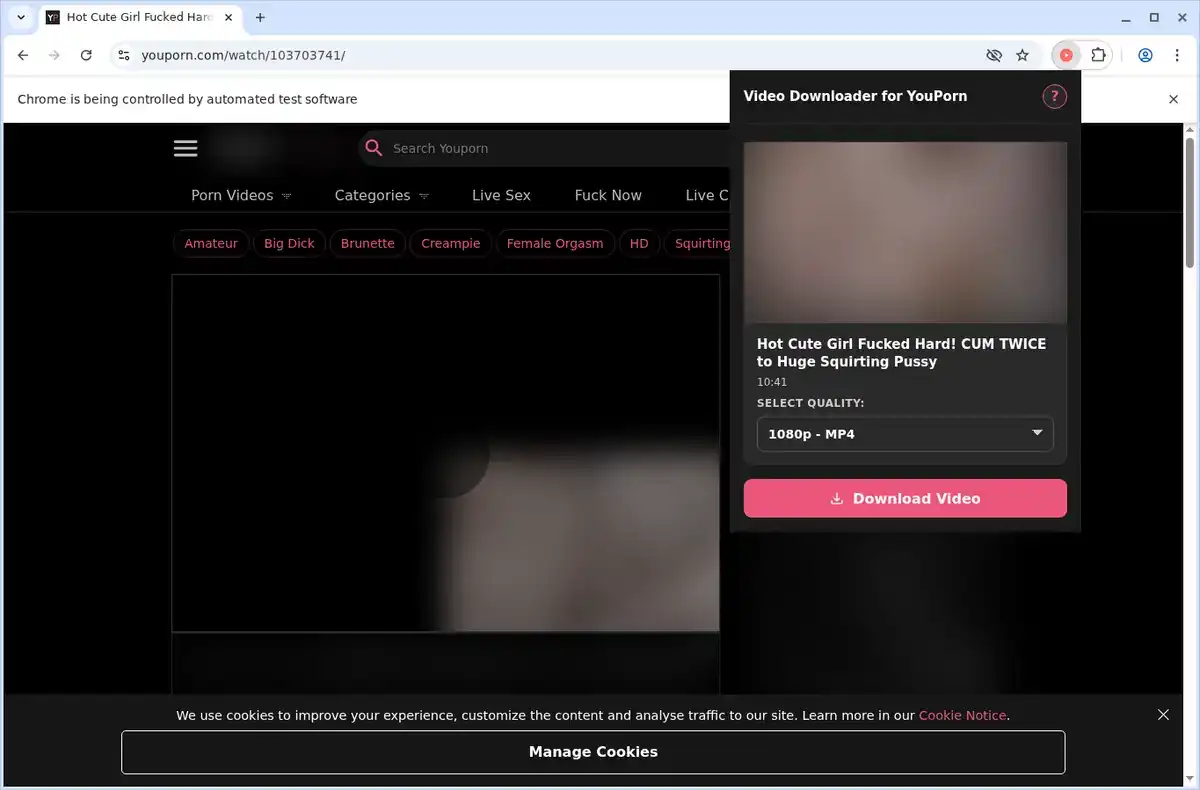 YouPorn Video Downloader fullscreen screenshot