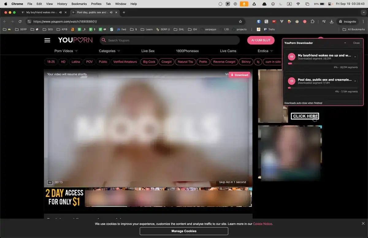 Queue of Youporn downloads ready for export