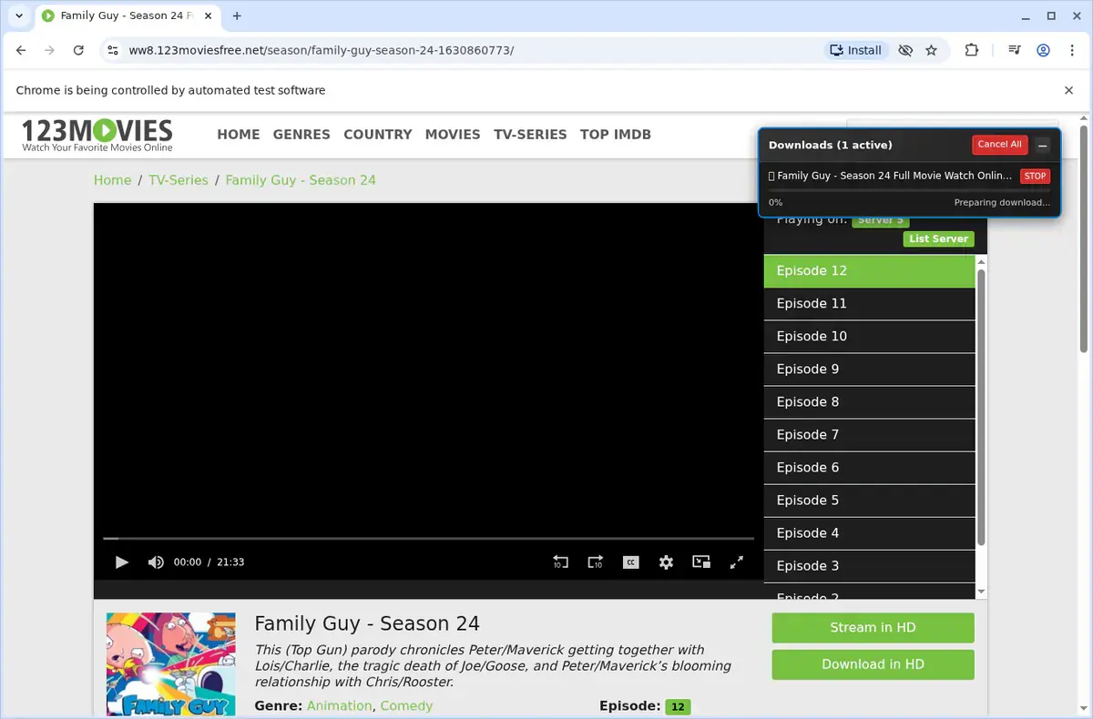 123Movies Video Downloader download progress panel