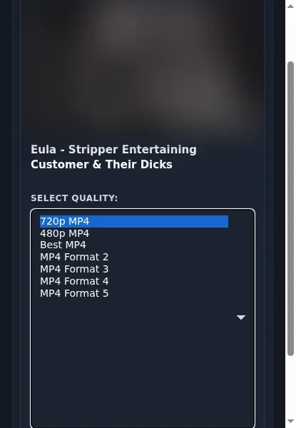3dporndude Video Downloader format dropdown options