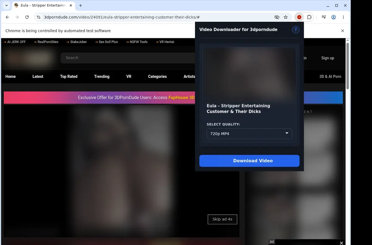 3dporndude Video Downloader showing detected media ready to download