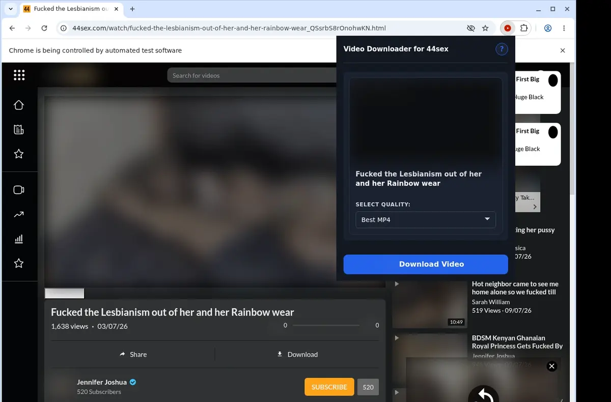 44sex Video Downloader showing detected media ready to download
