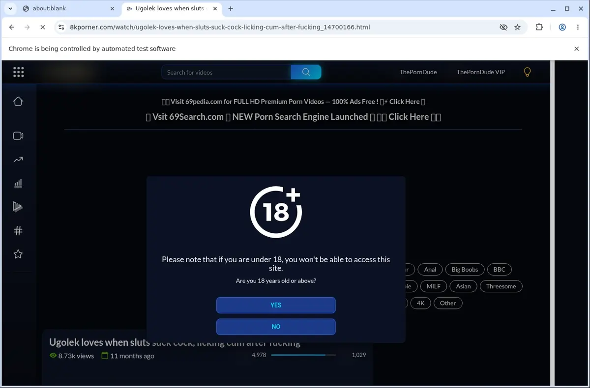 8K Porner Downloader page open in the browser