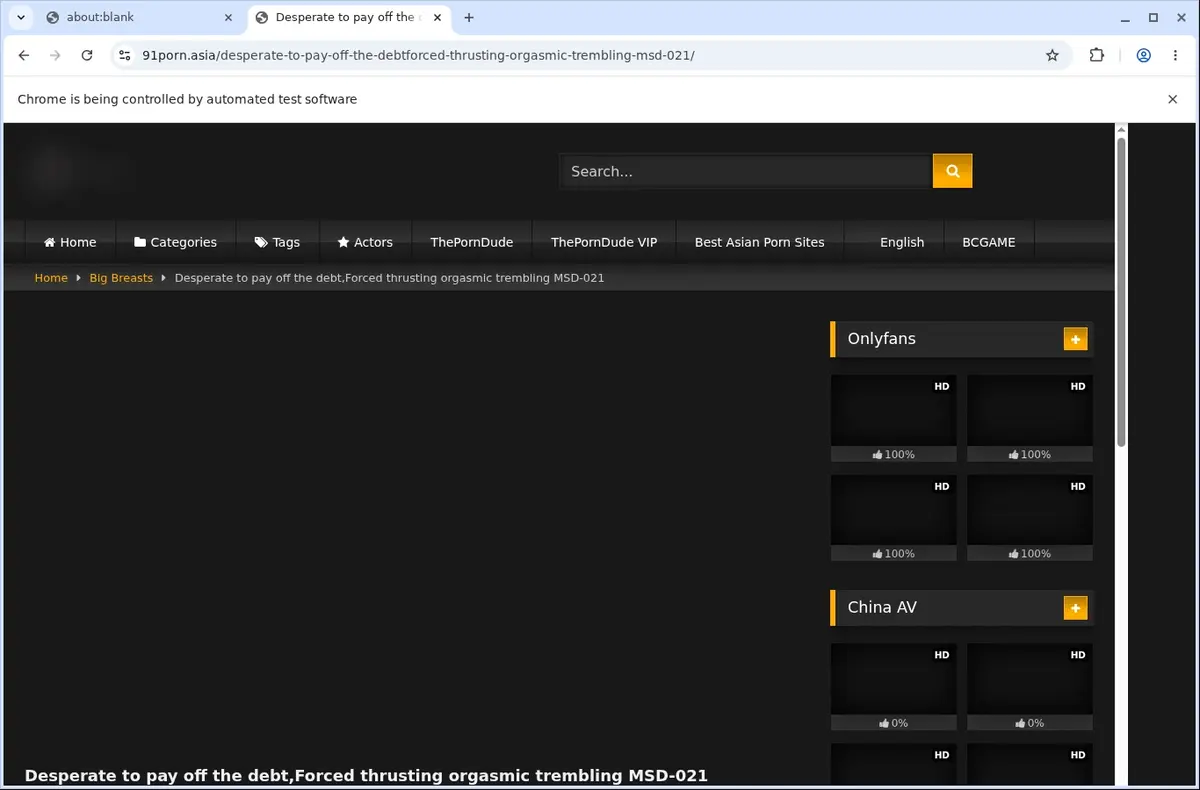 91Porn Video Downloader page open in the browser
