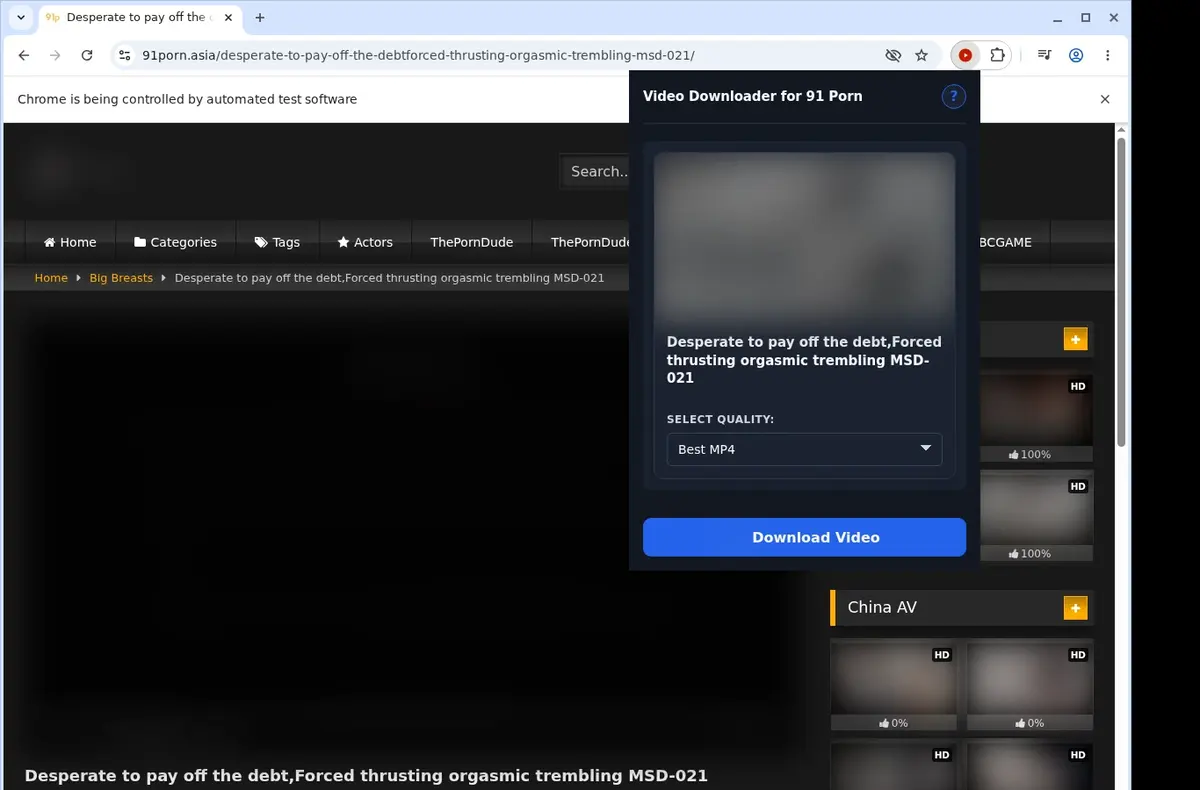91Porn Video Downloader showing detected media ready to download