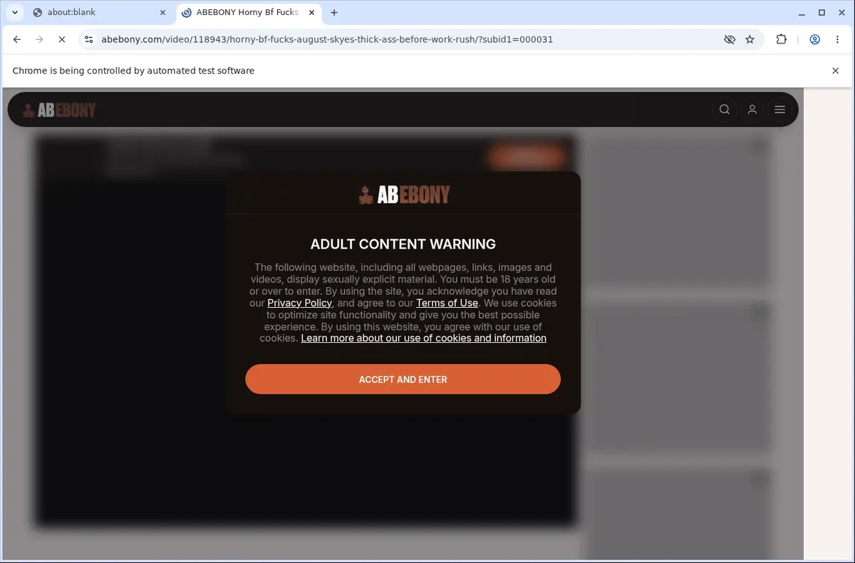 Abebony Video Downloader page open in the browser