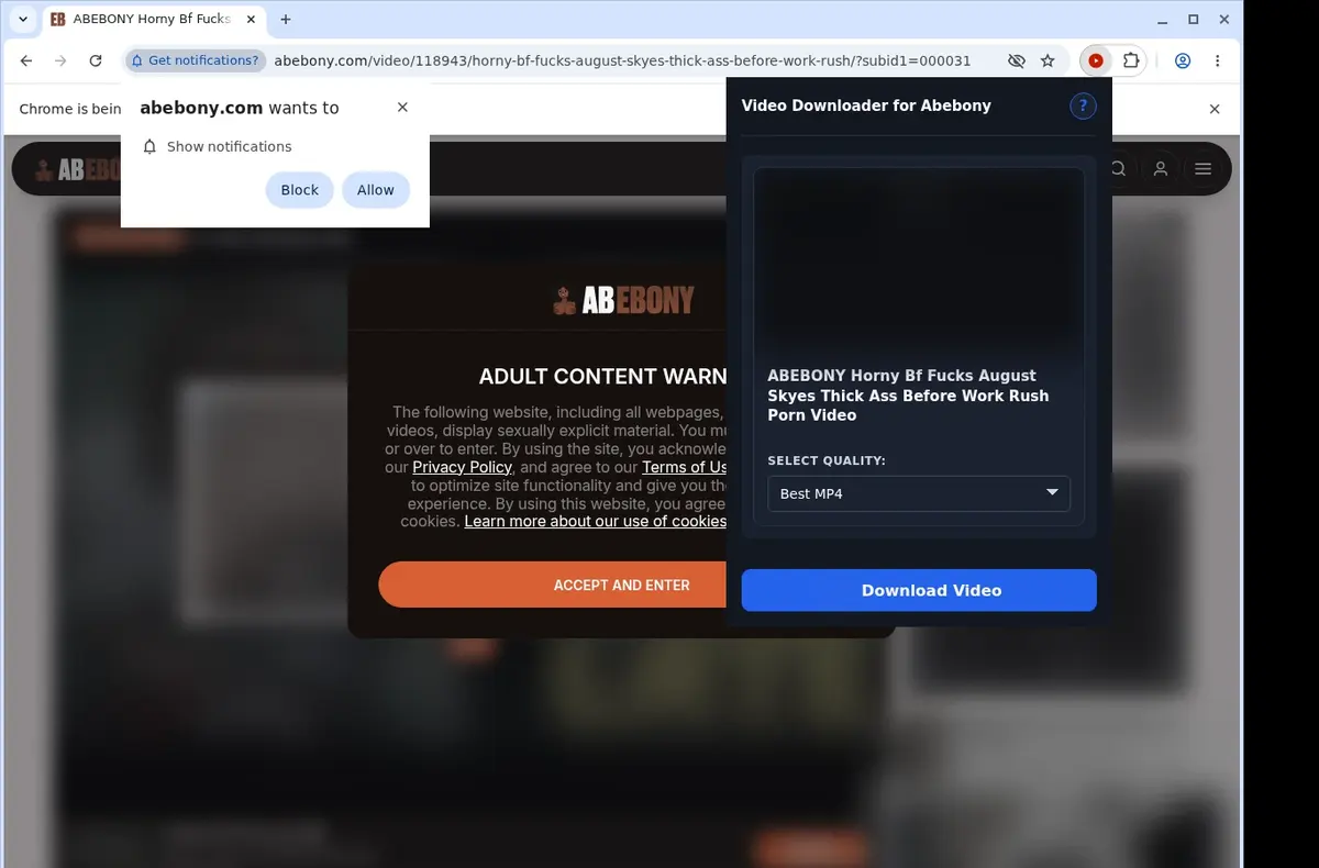 Abebony Video Downloader showing detected media ready to download