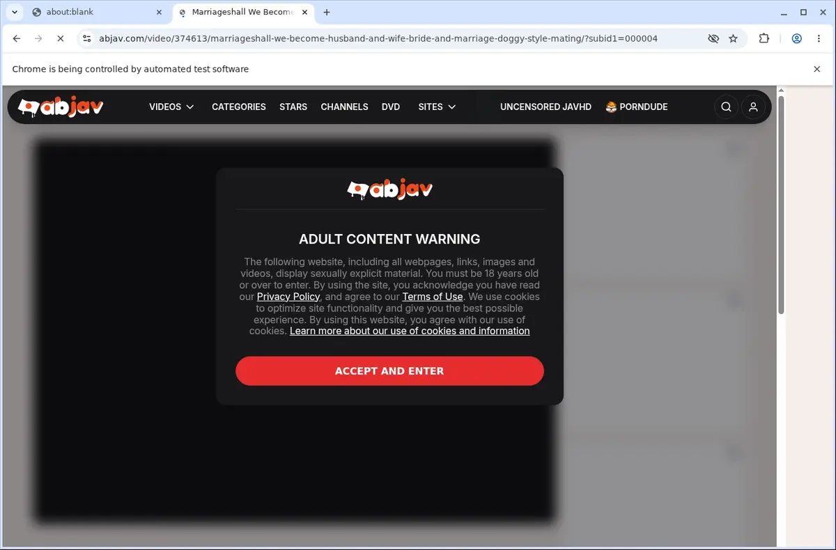 Abjav Video Downloader page open in the browser