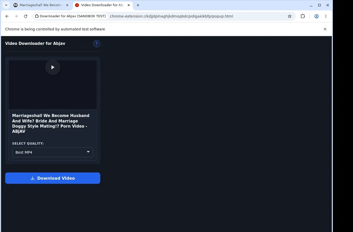 Abjav Video Downloader showing detected media ready to download