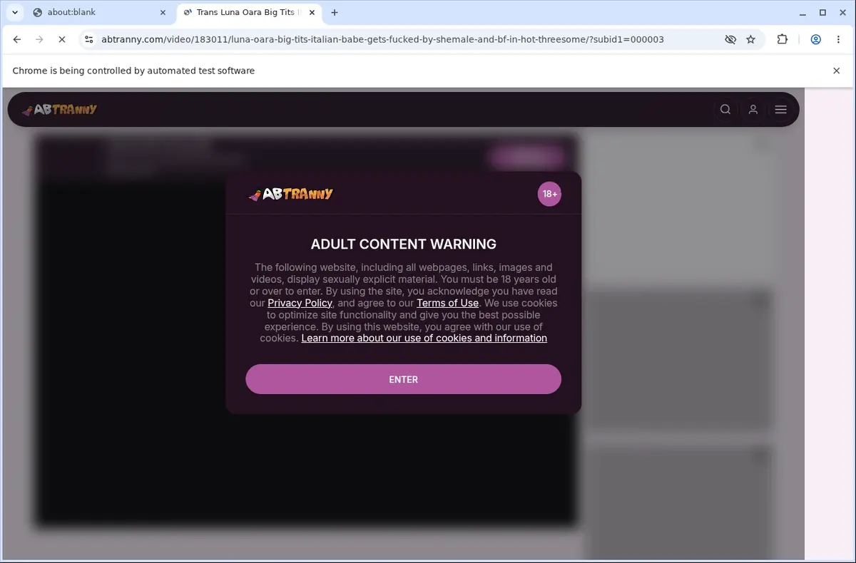 Abtranny Video Downloader page open in the browser