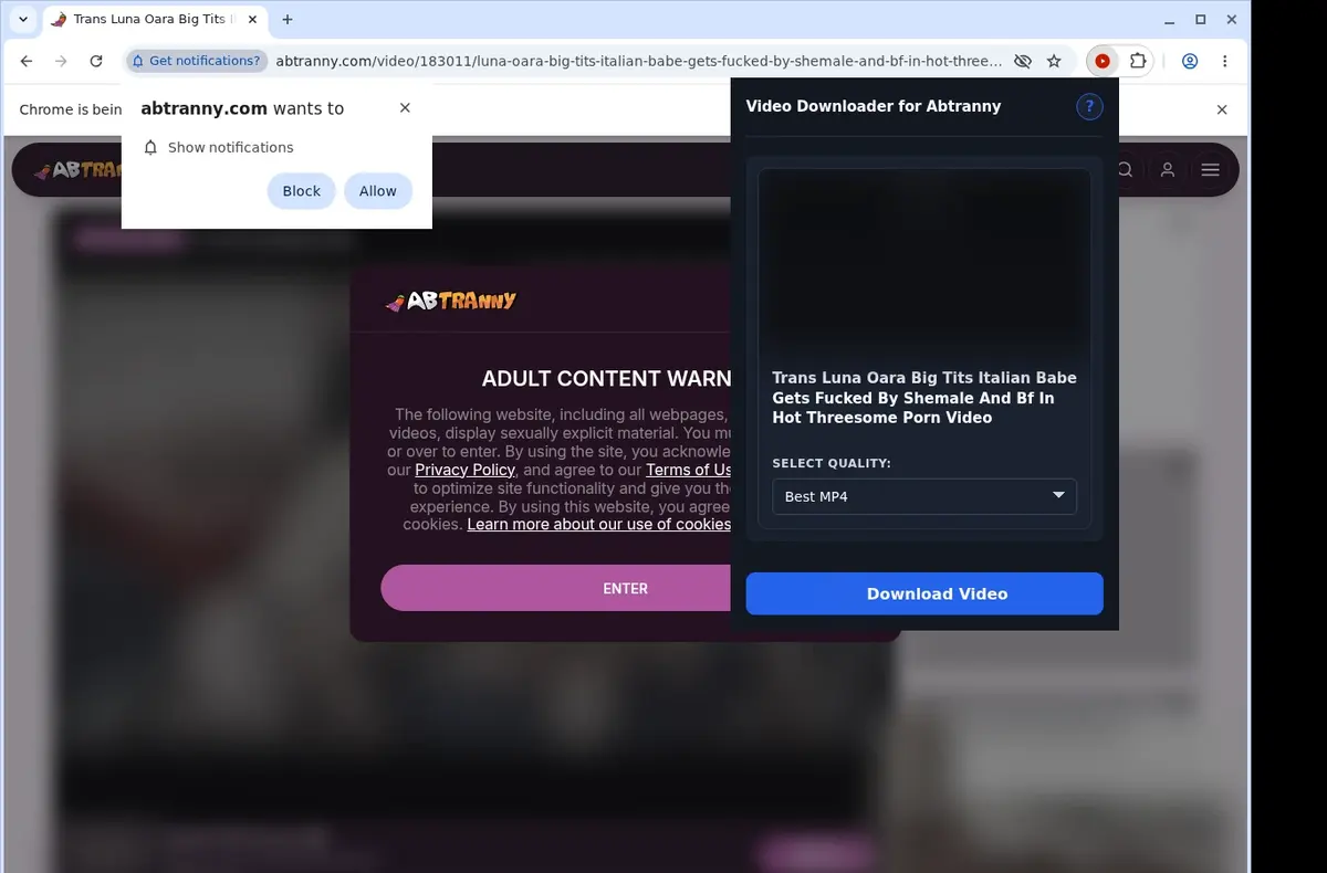 Abtranny Video Downloader showing detected media ready to download