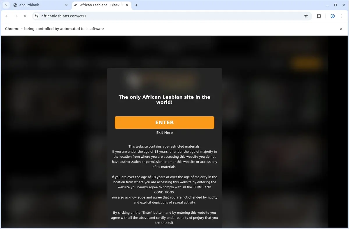 Africanlesbians Video Downloader page open in the browser