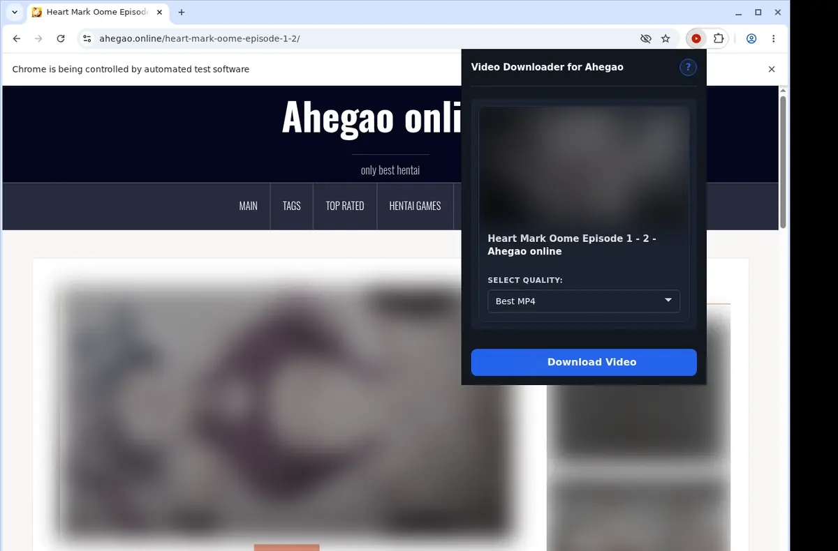 Ahegao Video Downloader showing detected media ready to download
