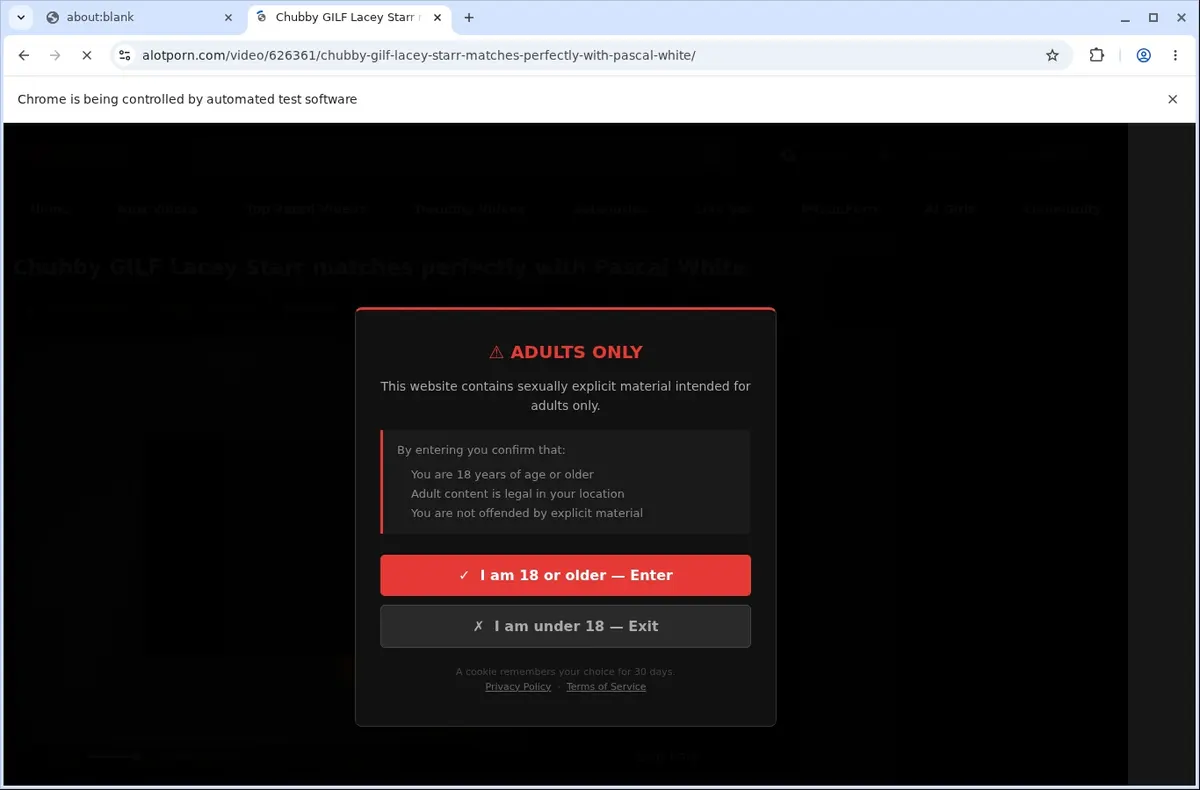 Alotporn Video Downloader page open in the browser