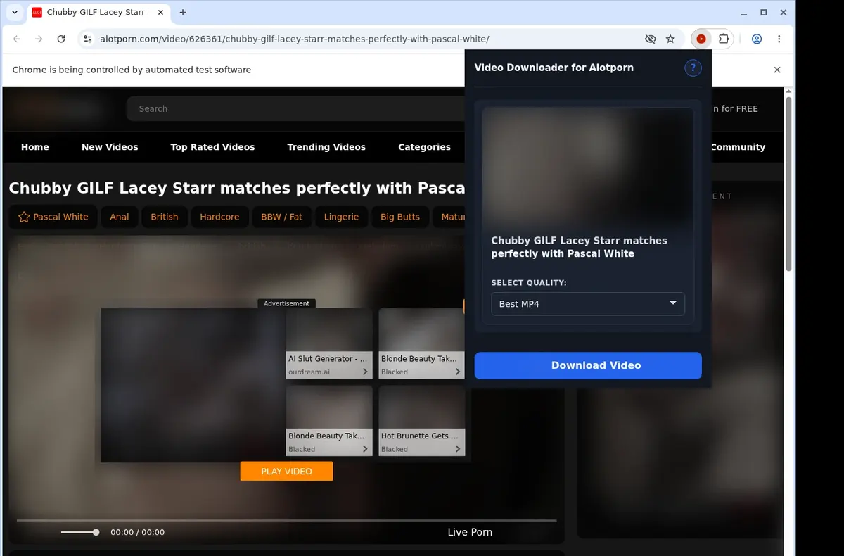 Alotporn Video Downloader showing detected media ready to download
