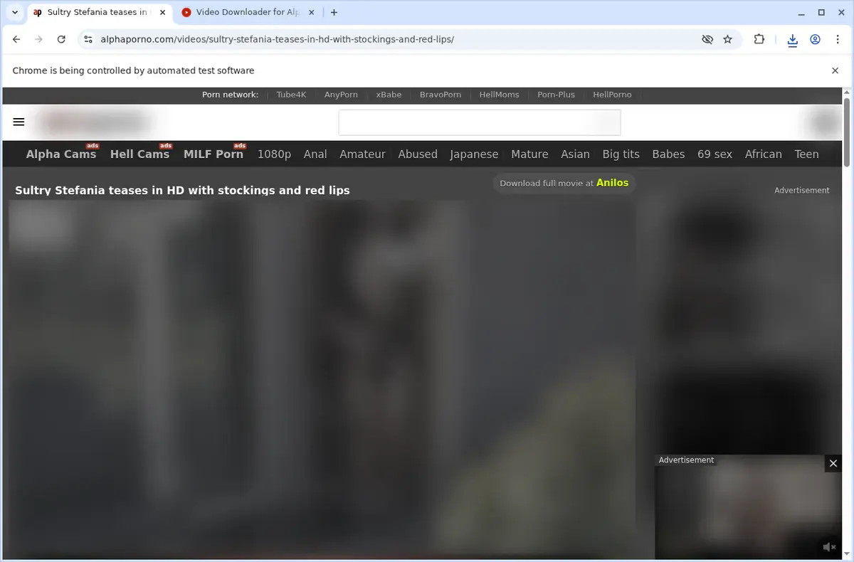 AlphaPorno Video Downloader page open in the browser
