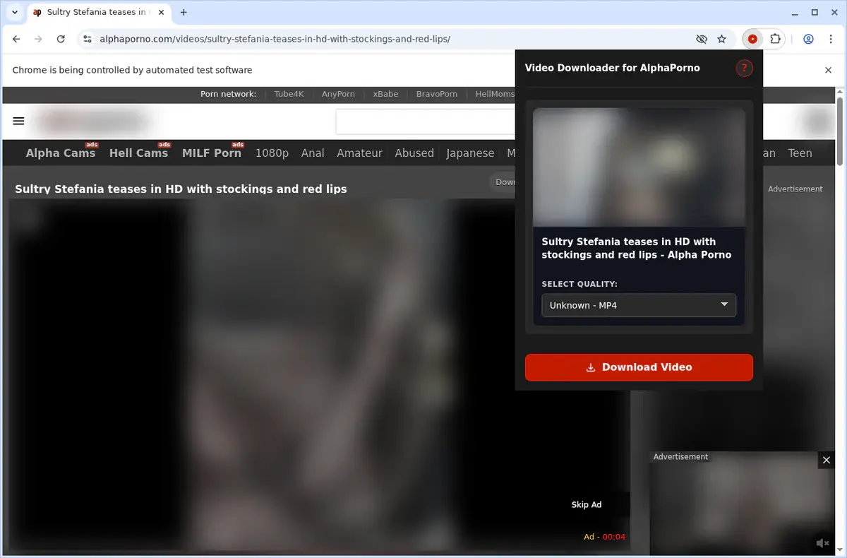 AlphaPorno Video Downloader showing detected media ready to download