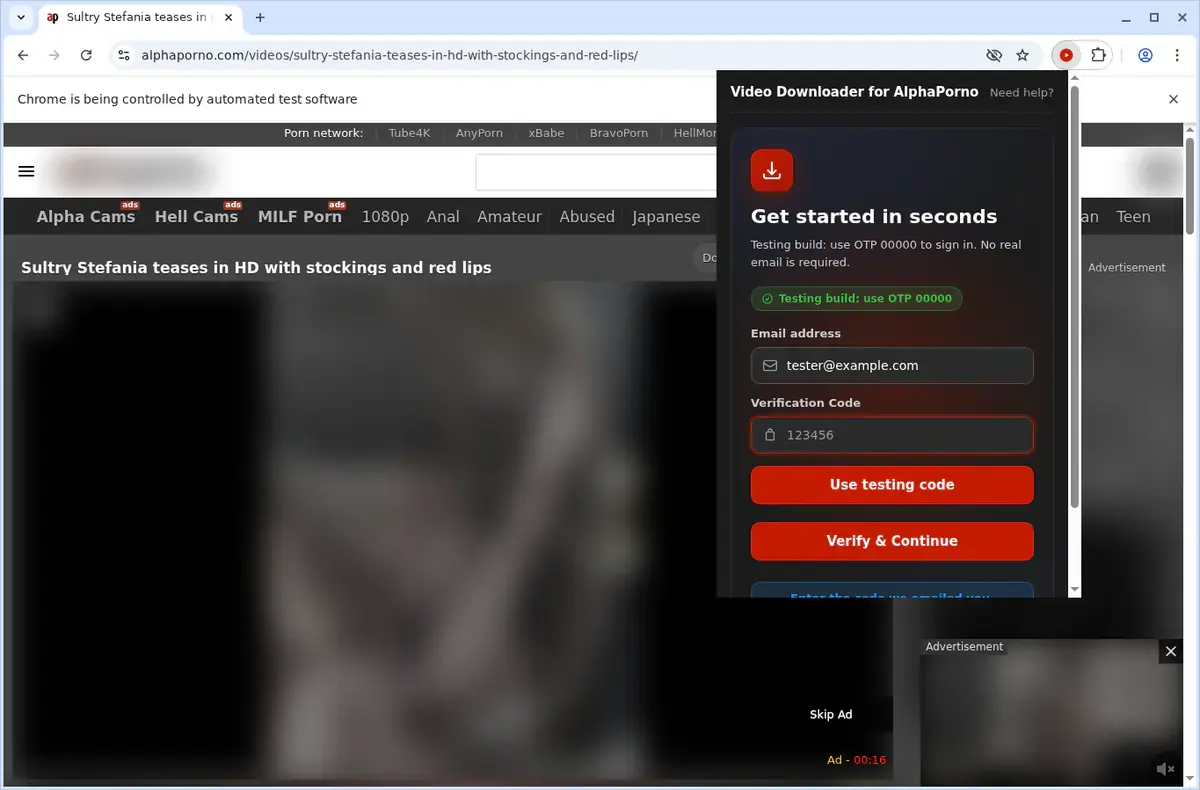 AlphaPorno Video Downloader format selection and save step